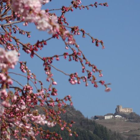 Sir Thomas Bed&More Bolzano Exterior foto
